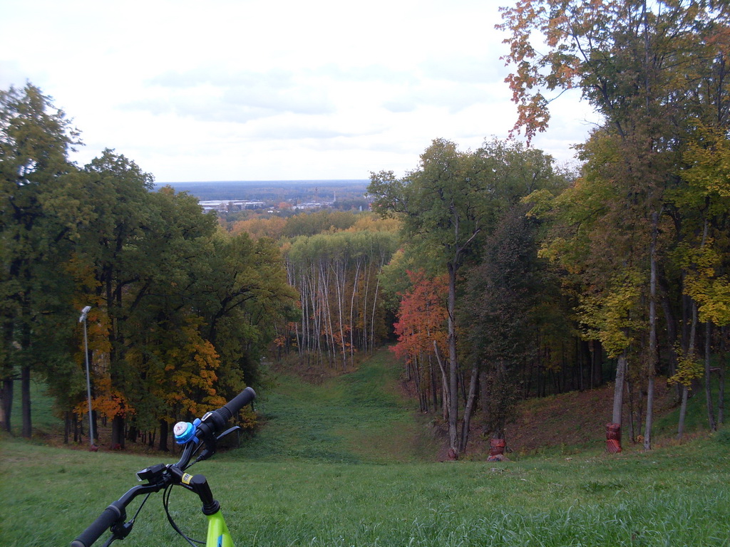 SDC10658.JPG