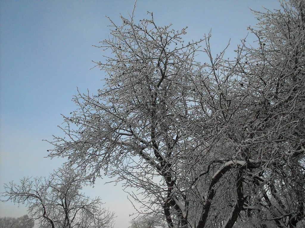 SDC10883.JPG