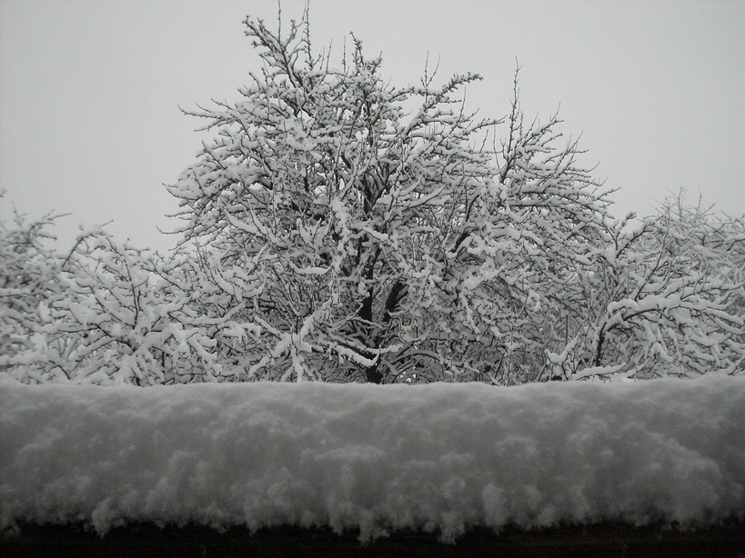 SDC10885.JPG