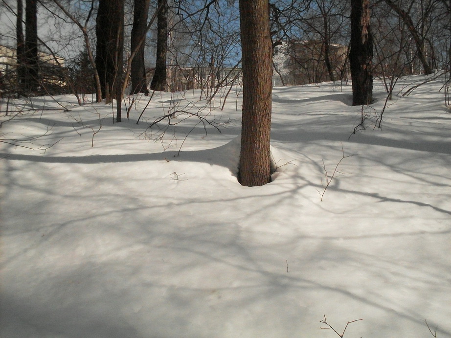 SDC10901.JPG