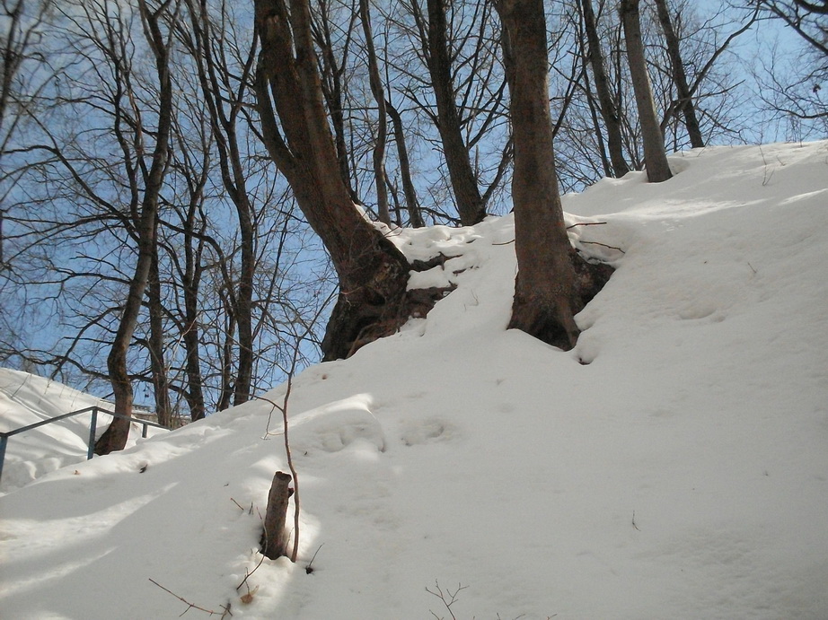 SDC10906.JPG