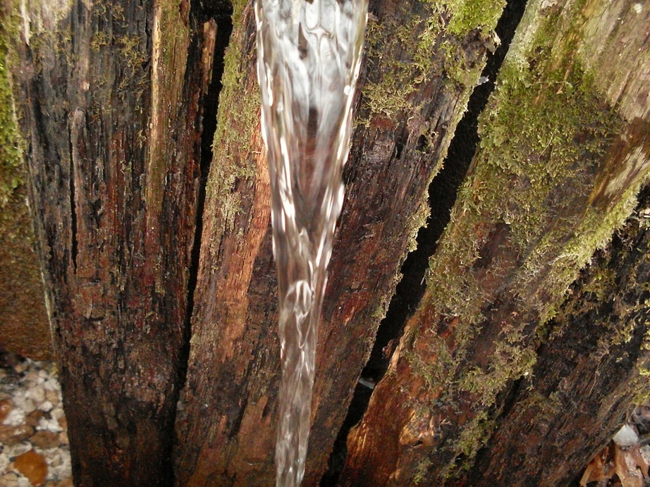 SDC10909.JPG