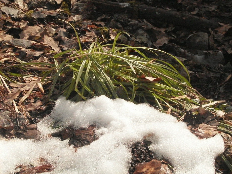 SDC10914.JPG
