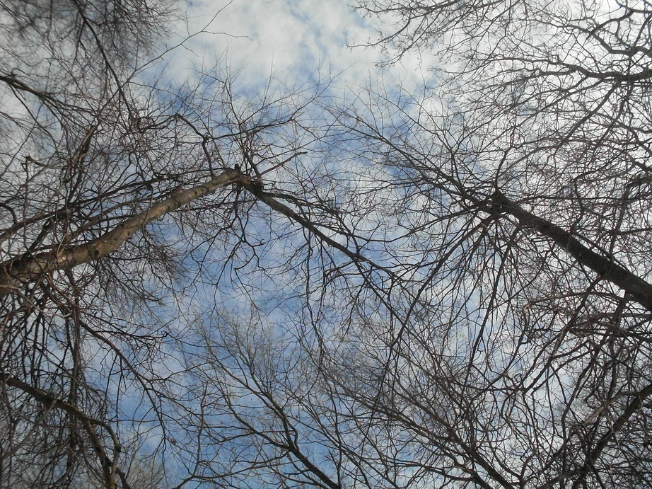 SDC10916.JPG