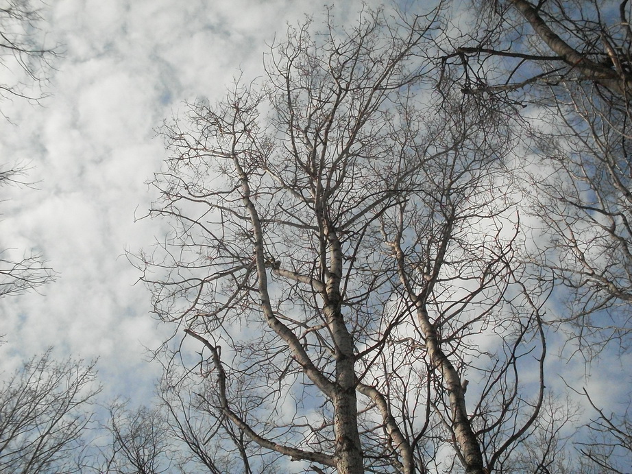 SDC10917.JPG