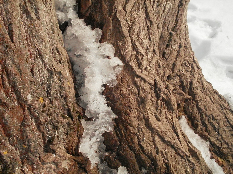 SDC10919.JPG