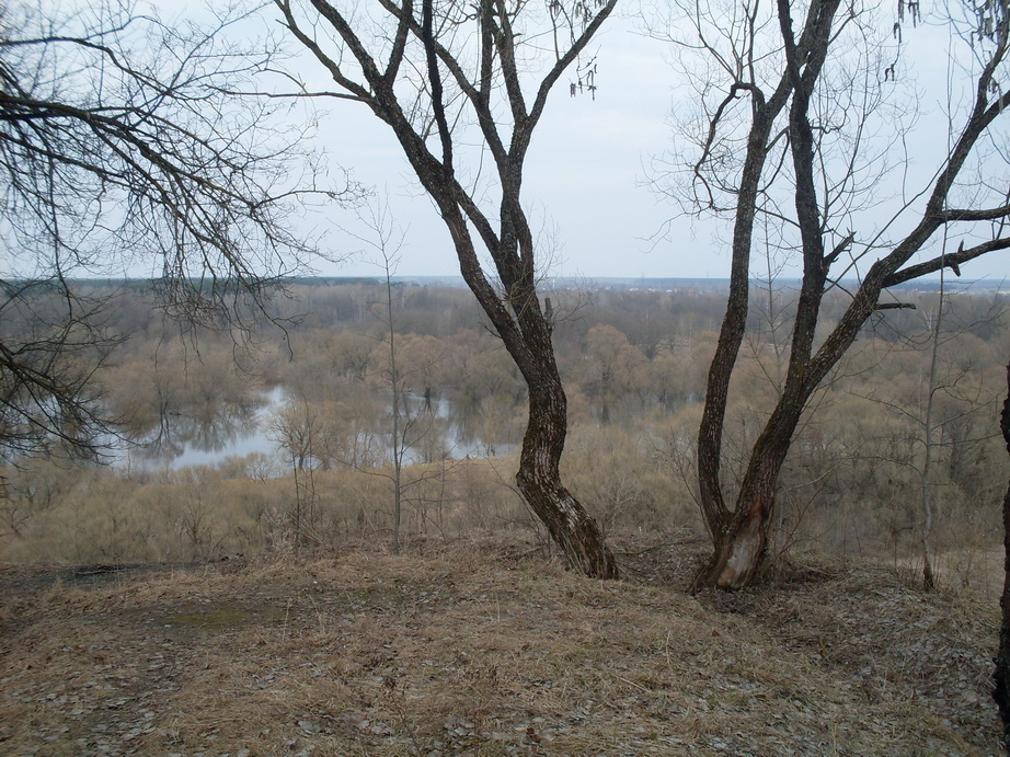 SDC10949.JPG