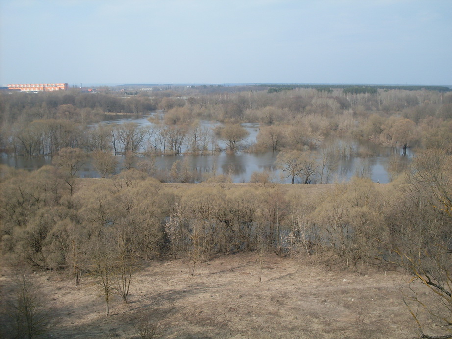 SDC10967.JPG