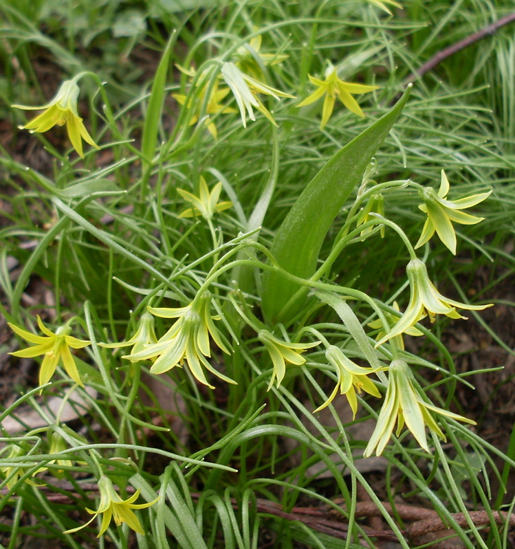 SDC11028.JPG