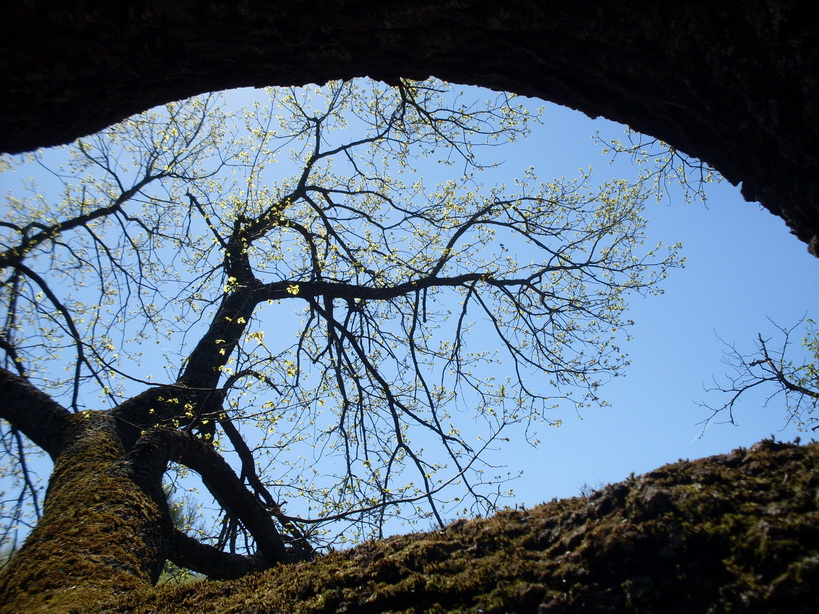 SDC11097.JPG