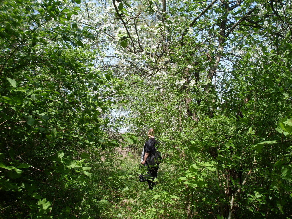 SDC11157.JPG