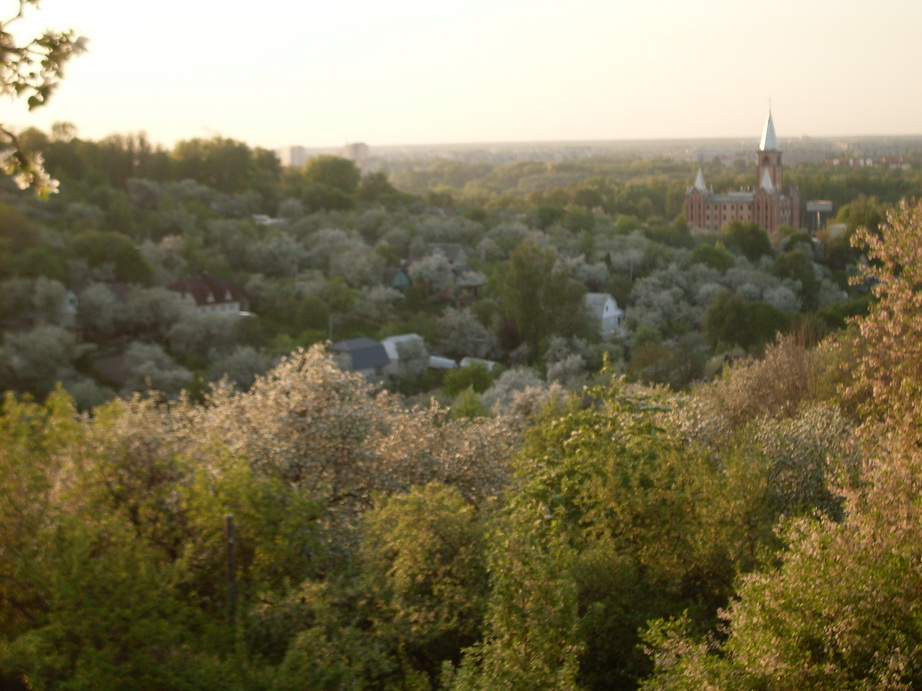 SDC11179.JPG