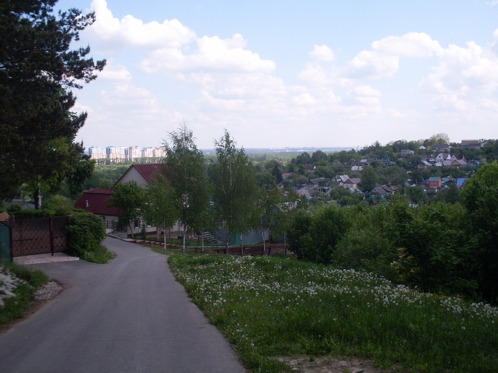 SDC11212.JPG