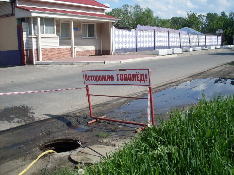 SDC11233.JPG