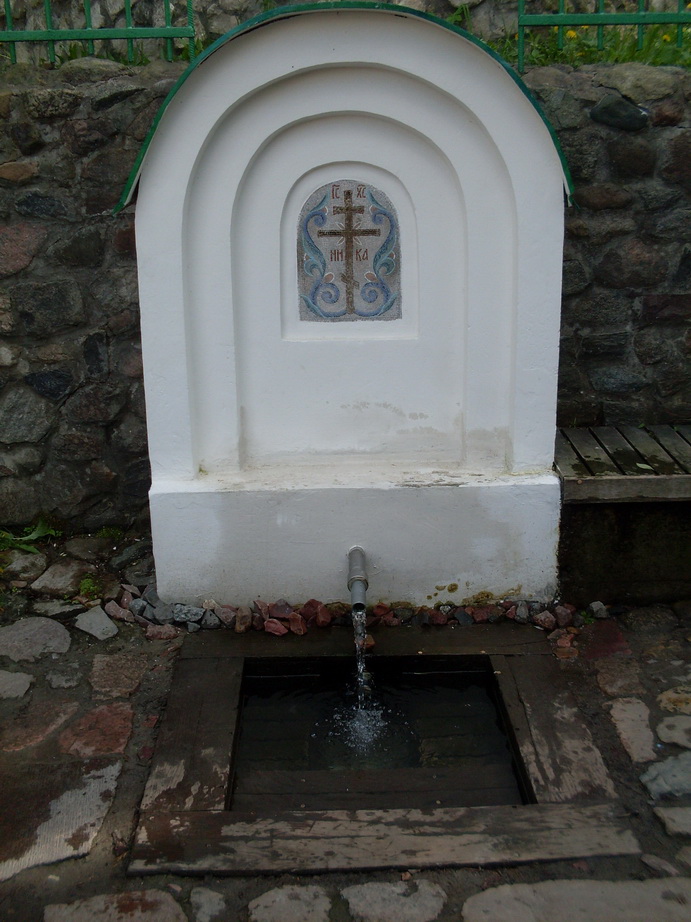 SDC11238.JPG