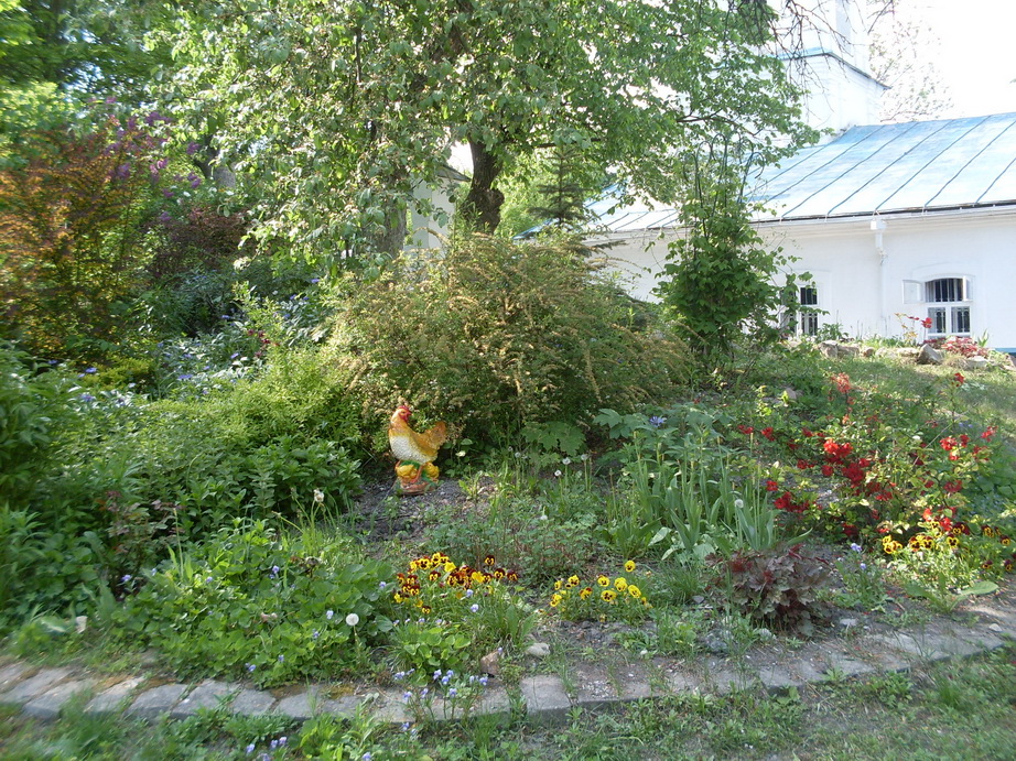 SDC11255.JPG