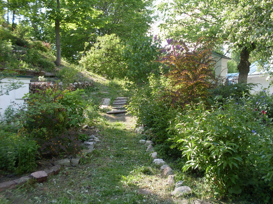 SDC11256.JPG