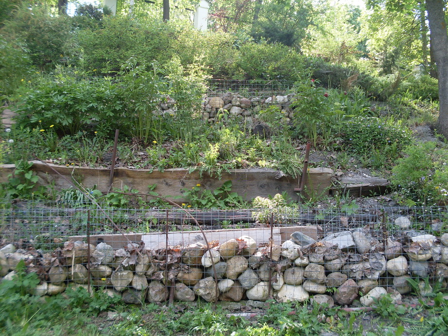 SDC11259.JPG