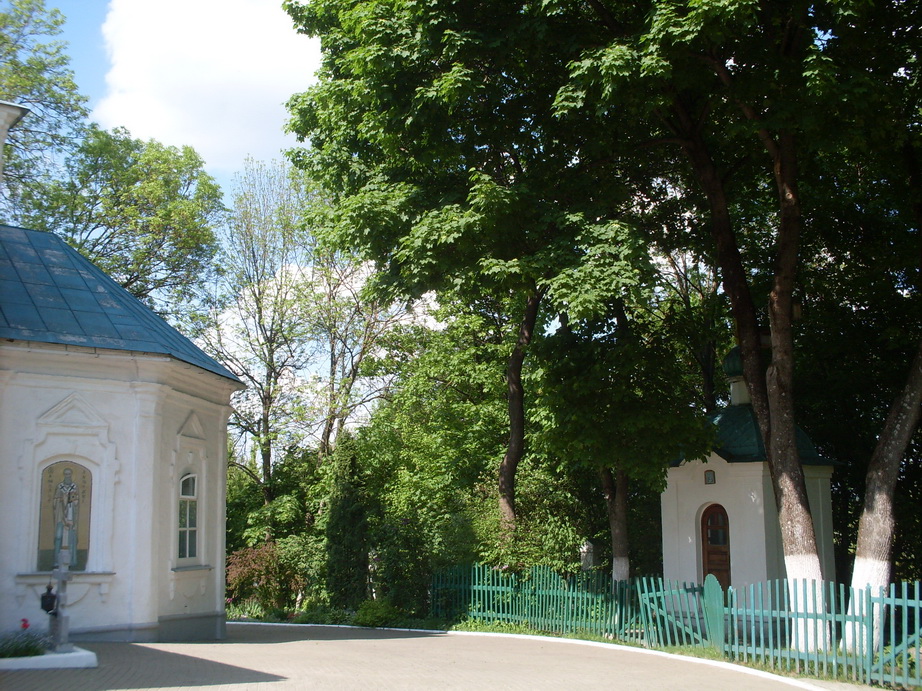 SDC11282.JPG