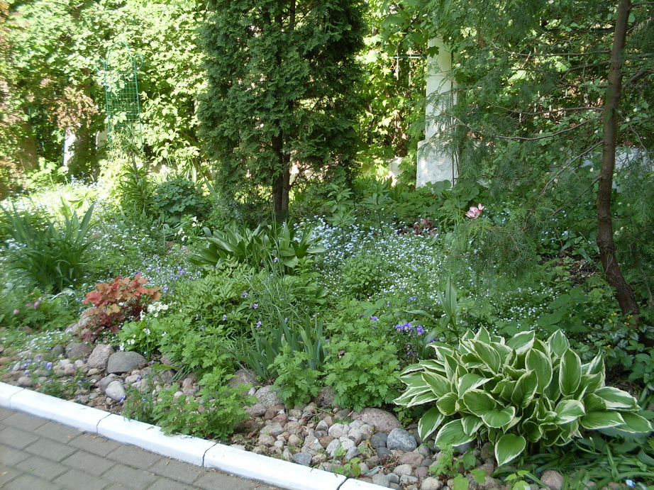 SDC11284.JPG
