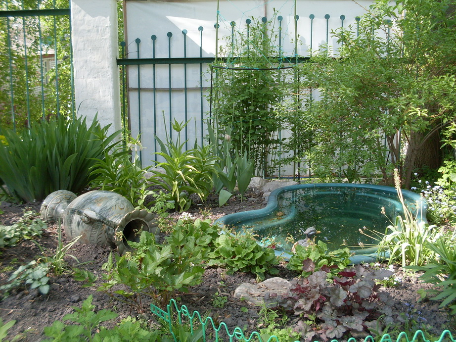 SDC11285.JPG