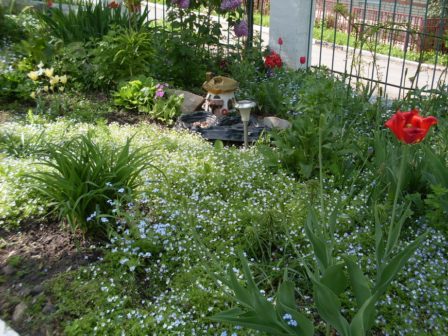 SDC11287.JPG