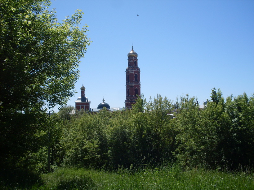 SDC11380.JPG