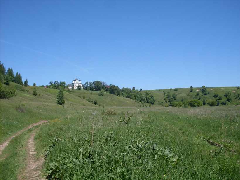SDC11469.JPG
