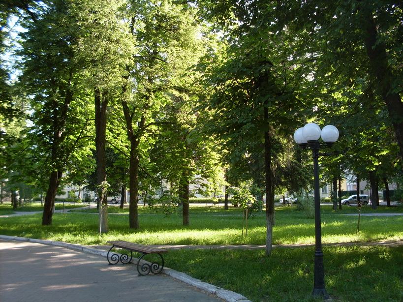 SDC11718.JPG