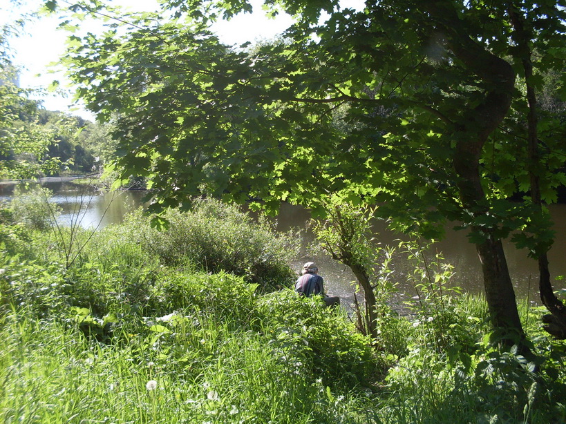 SDC11828.JPG