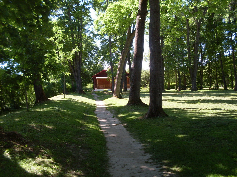 SDC11952.JPG