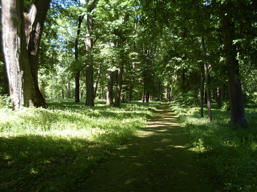 SDC11972.JPG