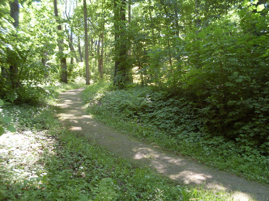 SDC11987.JPG