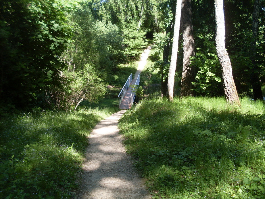 SDC11991.JPG