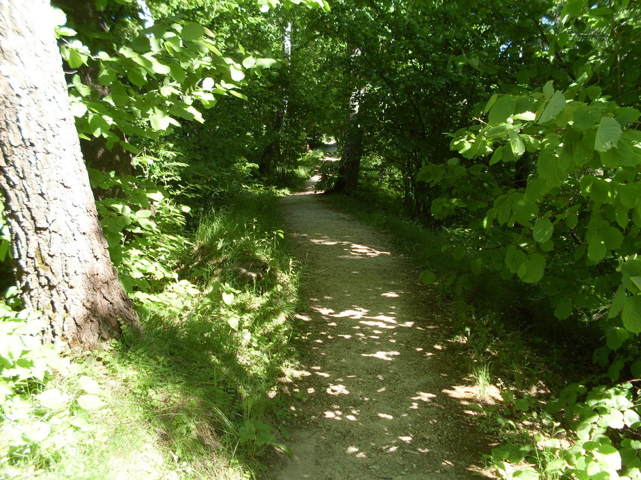 SDC12001.JPG