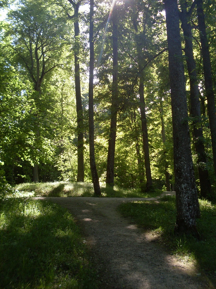 SDC12043.JPG