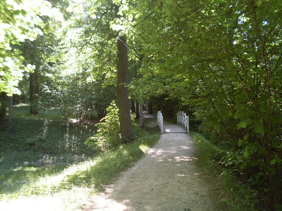SDC12045.JPG