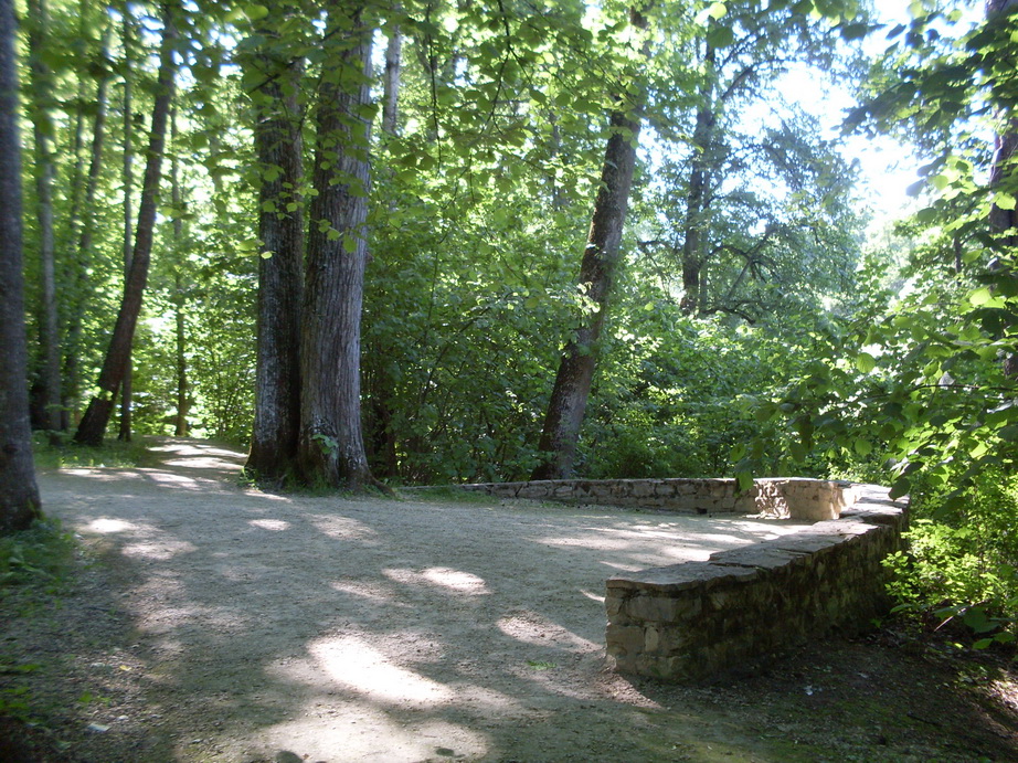 SDC12049.JPG