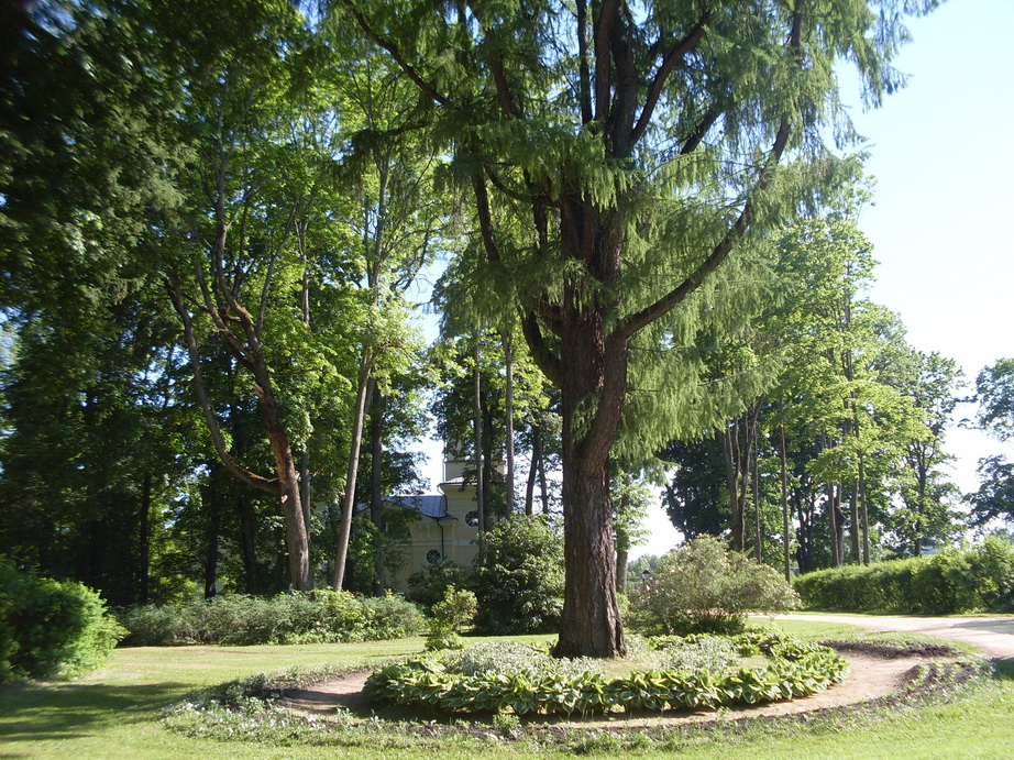 SDC12063.JPG