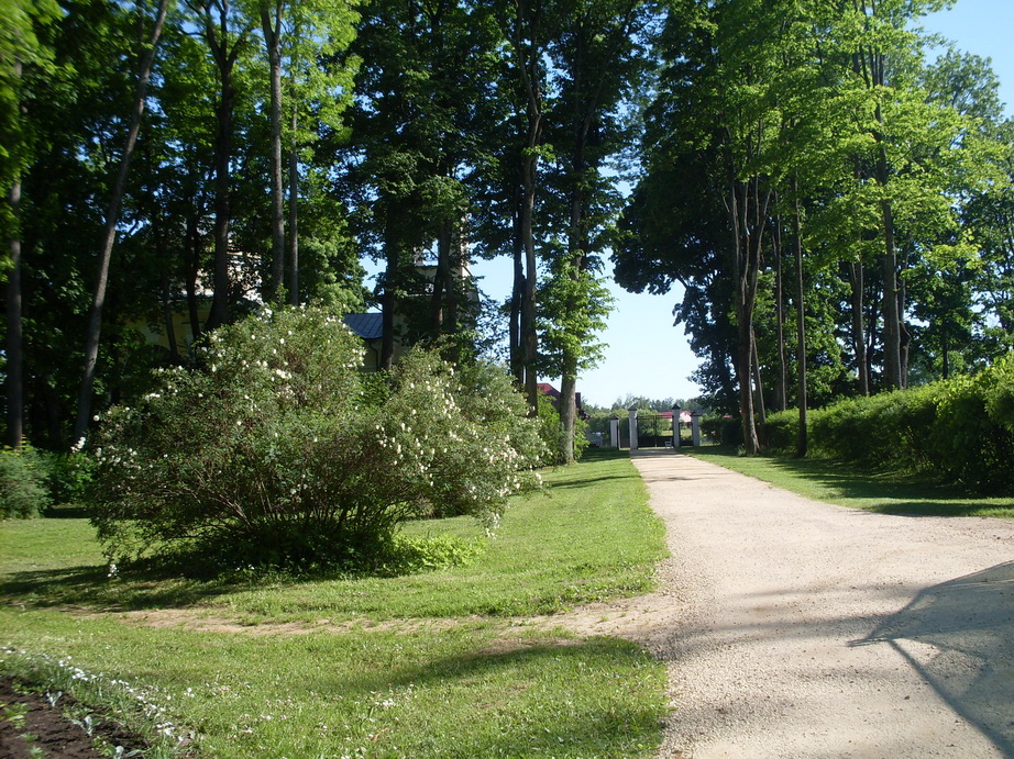 SDC12066.JPG