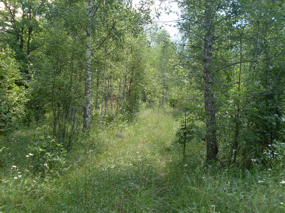 SDC12276.JPG