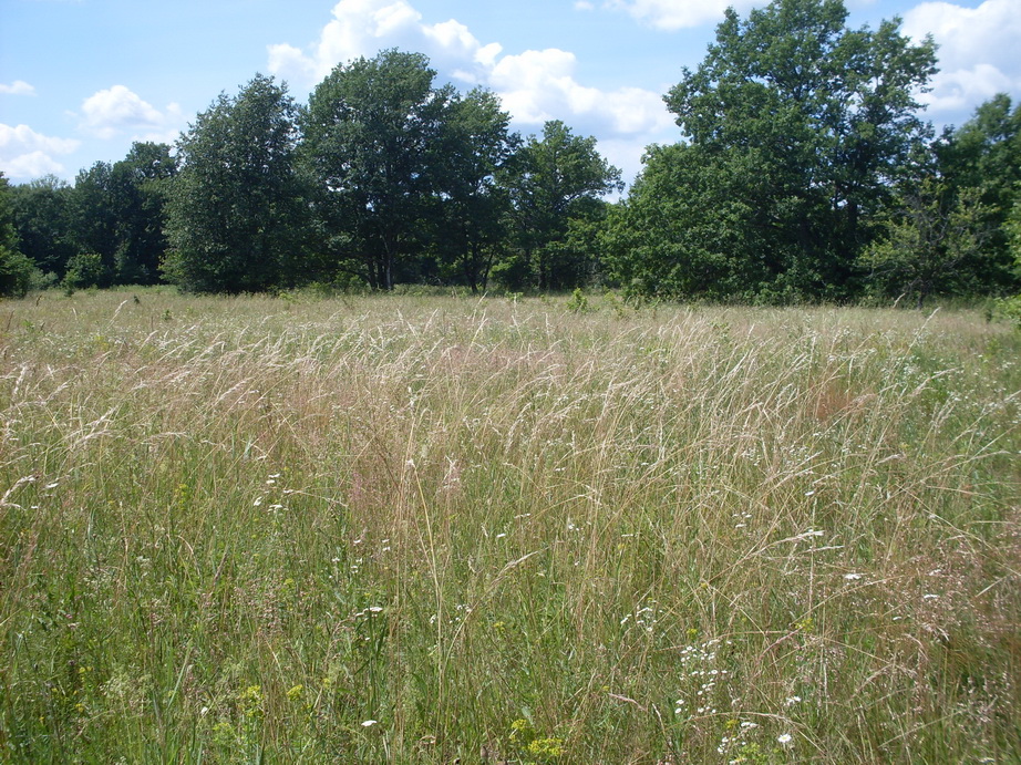 SDC12281.JPG