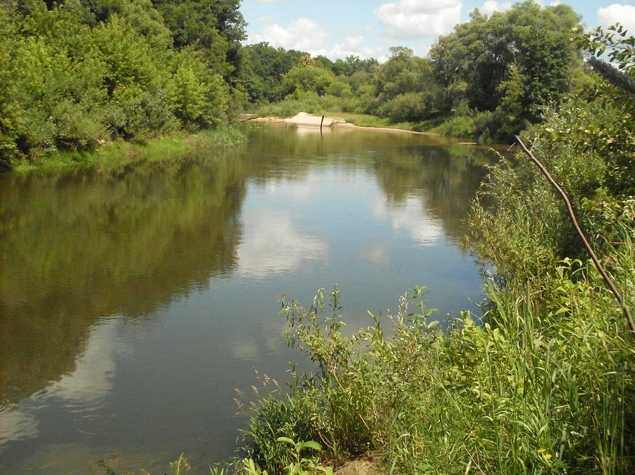 SDC12299.JPG