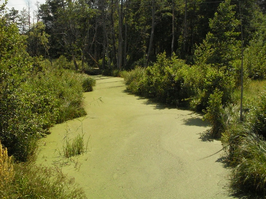 SDC12321.JPG
