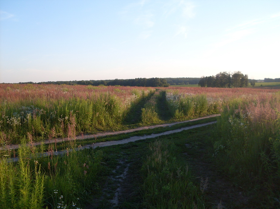 SDC12348.JPG