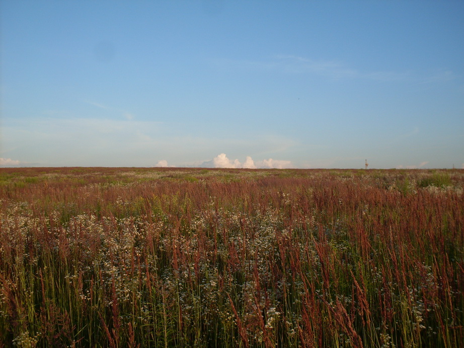 SDC12349.JPG