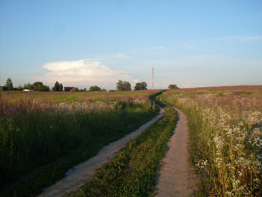 SDC12350.JPG
