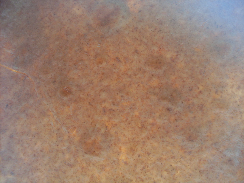 SDC12366.JPG