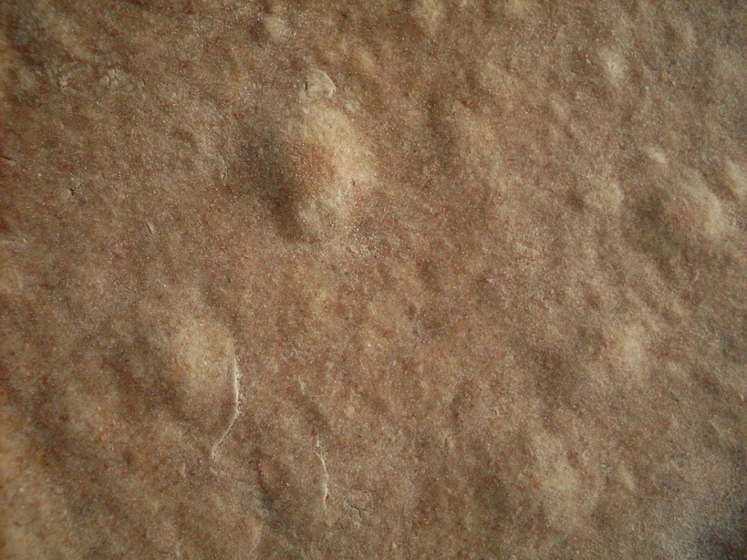 SDC12370.JPG