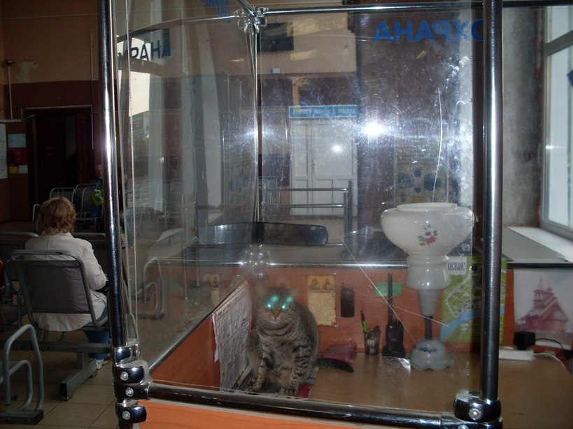 SDC12421.JPG